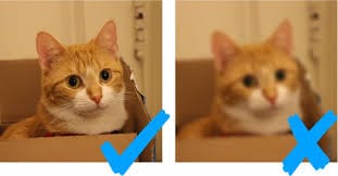 RAG Q&A Application - Retrieval Augmented Generation system with LangChain, vector embeddings, and semantic search by Rutwik Patel